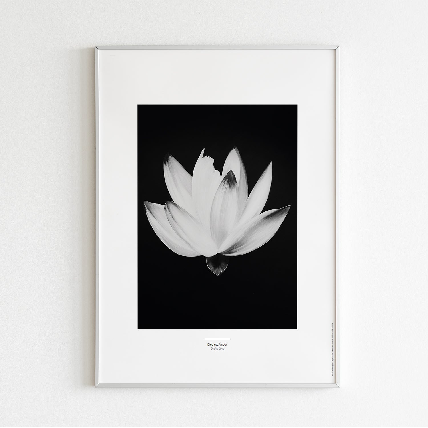 PLÉNITUDE